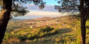 Hotels in Cerda